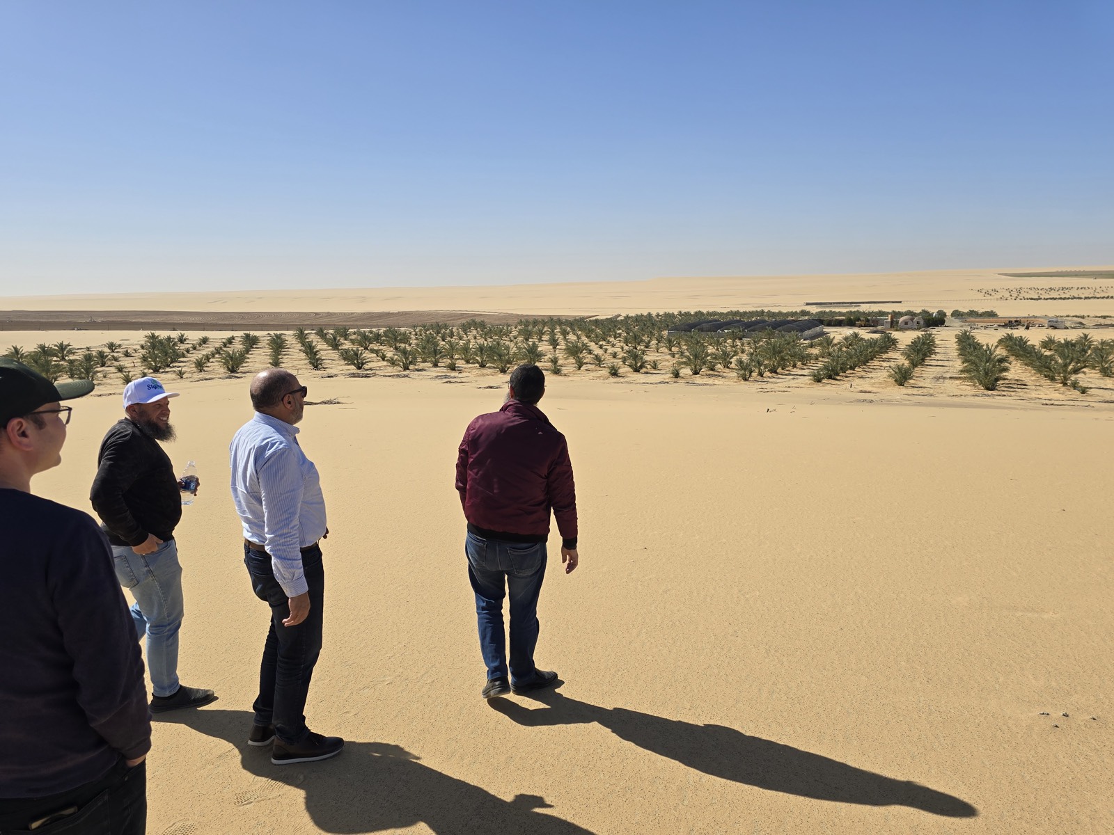 زور المزرعة أو اتفرج على جولة افتراضية