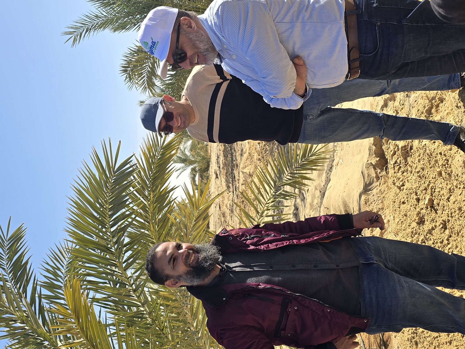 نمو النخيل عن قرب