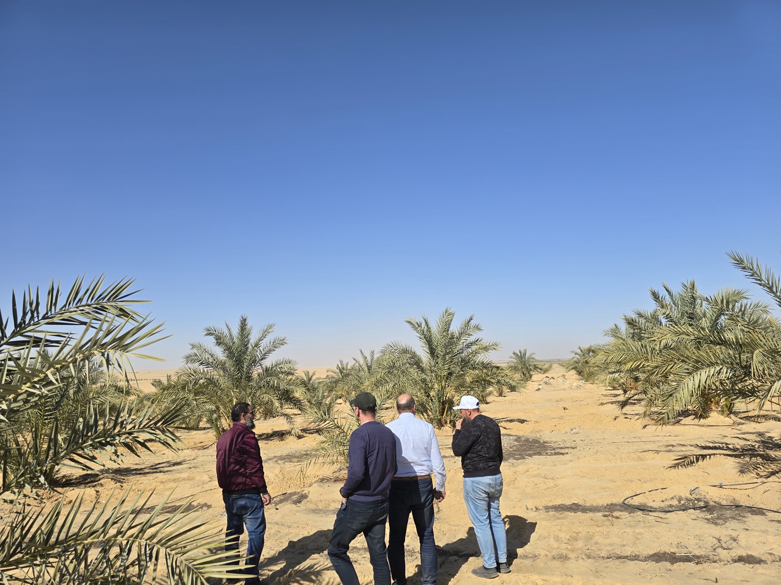 خد قرارك وأنت فاهم كل حاجة