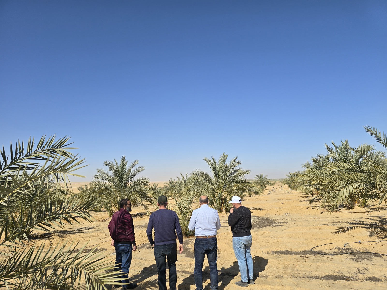 شبكة الري — قنوات ومضخات