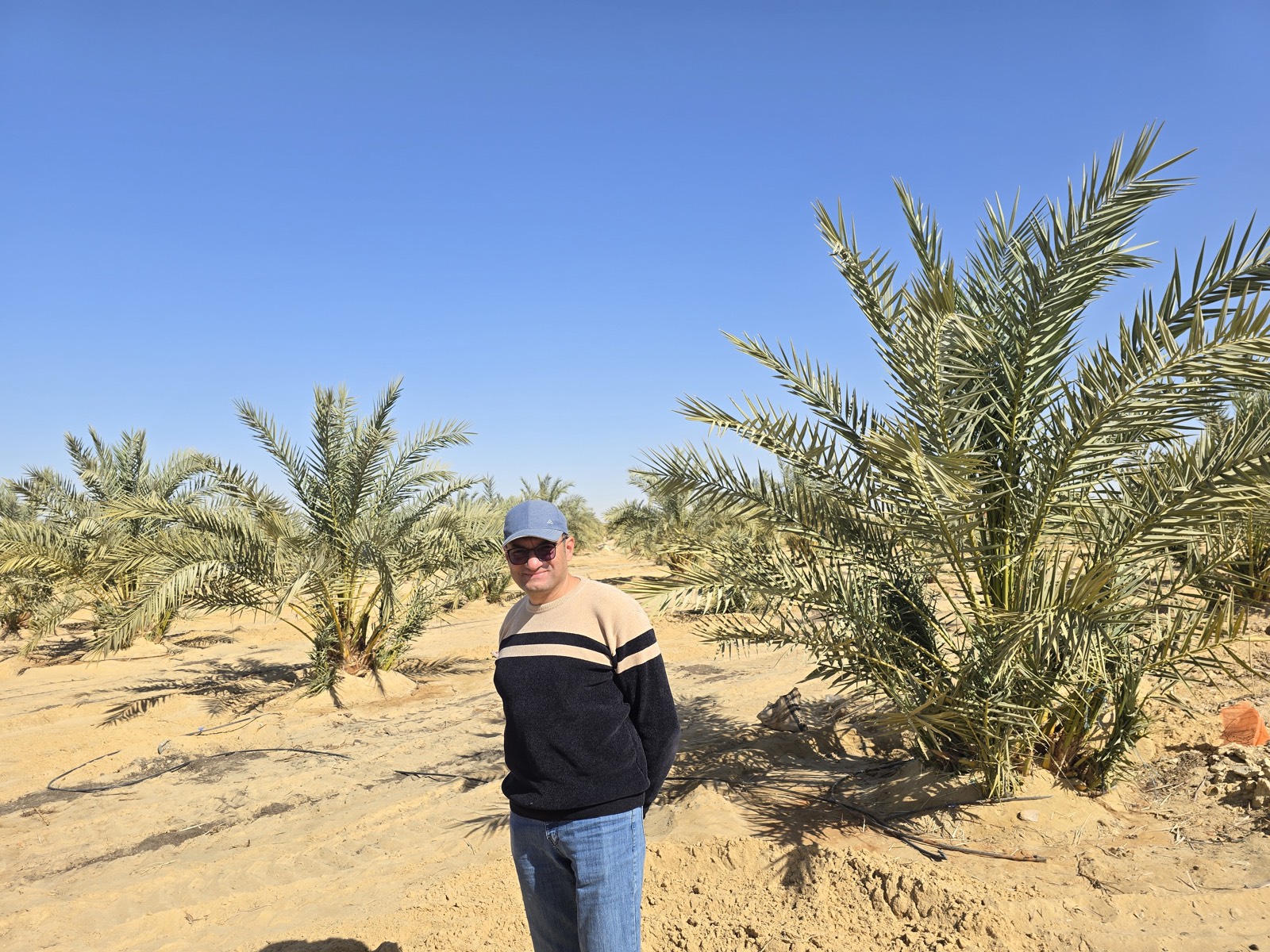 محطات الطاقة الشمسية