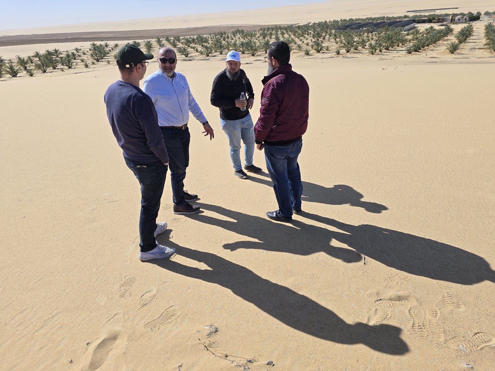 فيديو المزرعة — كلام المؤسسين