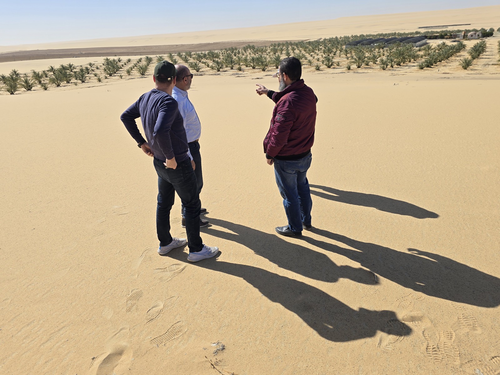 خالد ناصر الدين — مؤسس باسقات في المزرعة